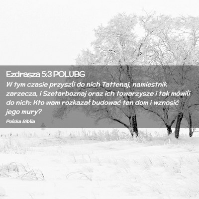 Picture 02 - Ezdrasza 5:3 POLUBG - W tym czasie przyszli do nich Tattenaj, - Bible Verse Picture