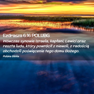 Picture 02 - Ezdrasza 6:16 POLUBG - Wówczas synowie Izraela, kapłani, Lewici oraz - Bible Verse Picture