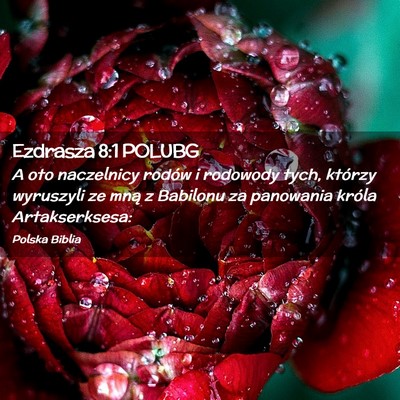 Picture 02 - Ezdrasza 8:1 POLUBG - A oto naczelnicy rodów i rodowody tych, którzy - Bible Verse Picture