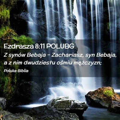Picture 02 - Ezdrasza 8:11 POLUBG - Z synów Bebaja – Zachariasz, syn Bebaja, a z - Bible Verse Picture