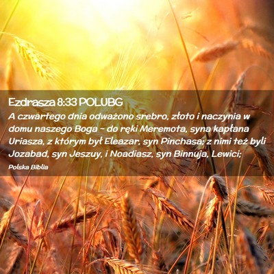 Picture 02 - Ezdrasza 8:33 POLUBG - A czwartego dnia odważono srebro, złoto i - Bible Verse Picture