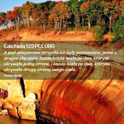 Picture 02 - Ezechiela 1:23 POLUBG - A pod sklepieniem skrzydła ich były - Bible Verse Picture