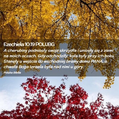 Picture 02 - Ezechiela 10:19 POLUBG - A cherubiny podniosły swoje skrzydła i uniosły - Bible Verse Picture