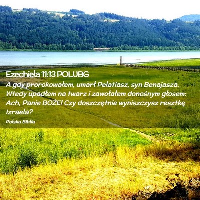 Picture 02 - Ezechiela 11:13 POLUBG - A gdy prorokowałem, umarł Pelatiasz, syn - Bible Verse Picture
