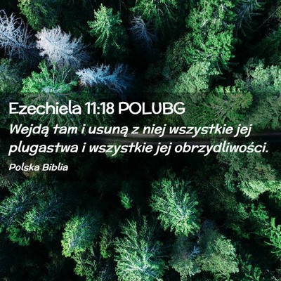 Picture 02 - Ezechiela 11:18 POLUBG - Wejdą tam i usuną z niej wszystkie jej - Bible Verse Picture
