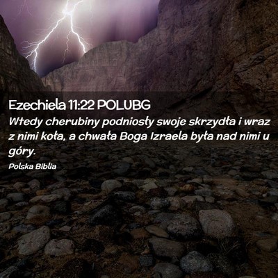 Picture 02 - Ezechiela 11:22 POLUBG - Wtedy cherubiny podniosły swoje skrzydła i wraz - Bible Verse Picture