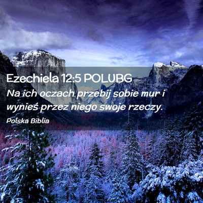 Picture 02 - Ezechiela 12:5 POLUBG - Na ich oczach przebij sobie mur i wynieś przez - Bible Verse Picture
