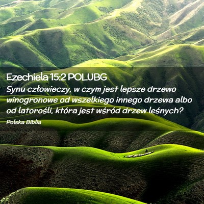 Picture 02 - Ezechiela 15:2 POLUBG - Synu człowieczy, w czym jest lepsze drzewo - Bible Verse Picture