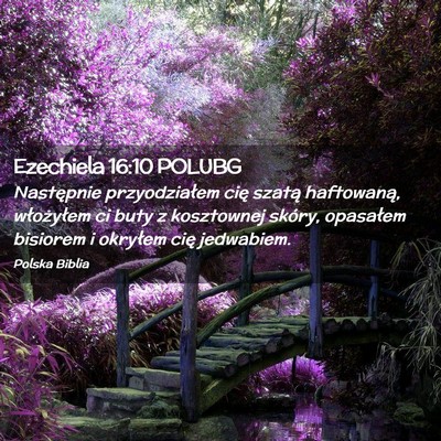 Picture 02 - Ezechiela 16:10 POLUBG - Następnie przyodziałem cię szatą haftowaną, - Bible Verse Picture