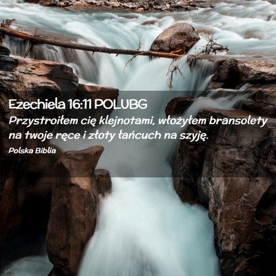 Picture 02 - Ezechiela 16:11 POLUBG - Przystroiłem cię klejnotami, włożyłem - Bible Verse Picture