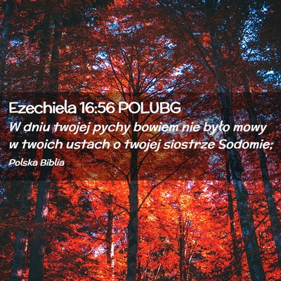 Picture 02 - Ezechiela 16:56 POLUBG - W dniu twojej pychy bowiem nie było mowy w - Bible Verse Picture