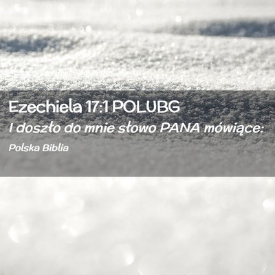 Picture 02 - Ezechiela 17:1 POLUBG - I doszło do mnie słowo PANA - Bible Verse Picture
