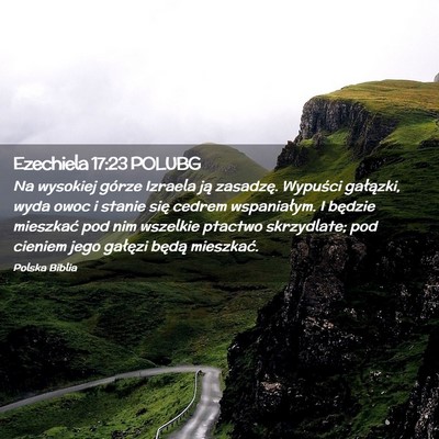 Picture 02 - Ezechiela 17:23 POLUBG - Na wysokiej górze Izraela ją zasadzę. Wypuści - Bible Verse Picture