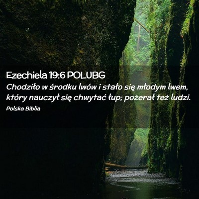 Picture 02 - Ezechiela 19:6 POLUBG - Chodziło w środku lwów i stało się młodym - Bible Verse Picture