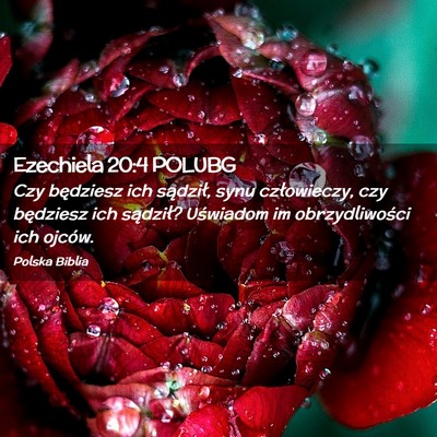 Picture 02 - Ezechiela 20:4 POLUBG - Czy będziesz ich sądził, synu człowieczy, czy - Bible Verse Picture