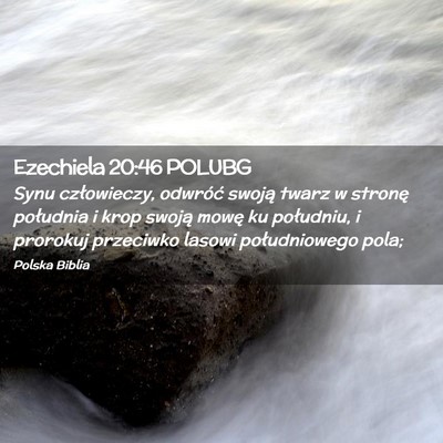 Picture 02 - Ezechiela 20:46 POLUBG - Synu człowieczy, odwróć swoją twarz w stronę - Bible Verse Picture
