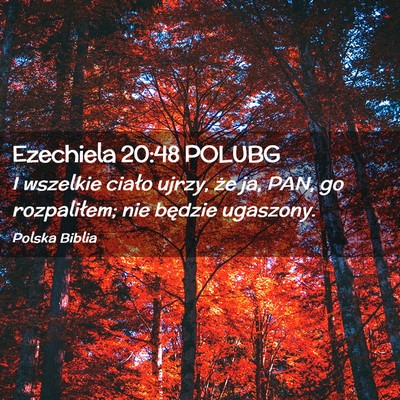 Picture 02 - Ezechiela 20:48 POLUBG - I wszelkie ciało ujrzy, że ja, PAN, go - Bible Verse Picture