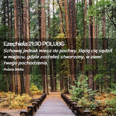 Picture 02 - Ezechiela 21:30 POLUBG - Schowaj jednak miecz do pochwy. Będę cię - Bible Verse Picture