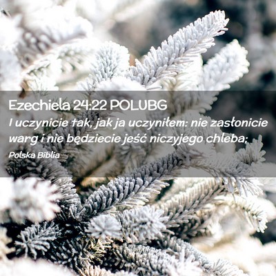 Picture 02 - Ezechiela 24:22 POLUBG - I uczynicie tak, jak ja uczyniłem: nie - Bible Verse Picture