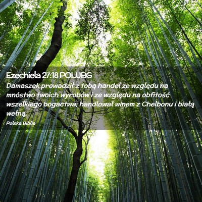 Picture 02 - Ezechiela 27:18 POLUBG - Damaszek prowadził z tobą handel ze względu na - Bible Verse Picture
