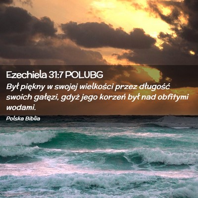 Picture 02 - Ezechiela 31:7 POLUBG - Był piękny w swojej wielkości przez długość - Bible Verse Picture