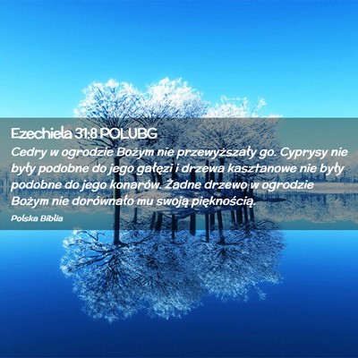 Picture 02 - Ezechiela 31:8 POLUBG - Cedry w ogrodzie Bożym nie przewyższały go. - Bible Verse Picture