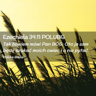 Picture 02 - Ezechiela 34:11 POLUBG - Tak bowiem mówi Pan BÓG: Oto ja sam będę - Bible Verse Picture