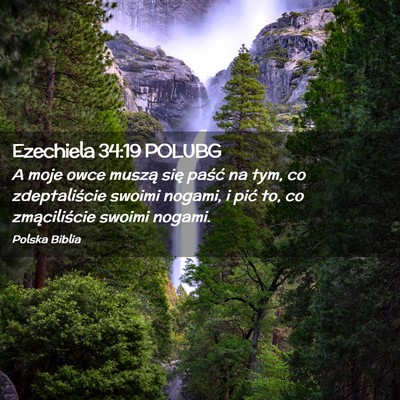 Picture 02 - Ezechiela 34:19 POLUBG - A moje owce muszą się paść na tym, co - Bible Verse Picture