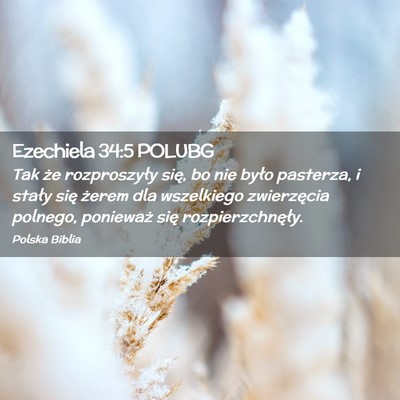 Picture 02 - Ezechiela 34:5 POLUBG - Tak że rozproszyły się, bo nie było pasterza, - Bible Verse Picture