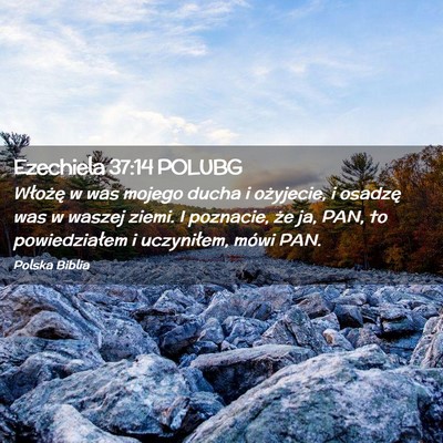 Picture 02 - Ezechiela 37:14 POLUBG - Włożę w was mojego ducha i ożyjecie, i - Bible Verse Picture