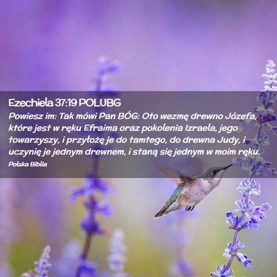 Picture 02 - Ezechiela 37:19 POLUBG - Powiesz im: Tak mówi Pan BÓG: Oto wezmę drewno - Bible Verse Picture