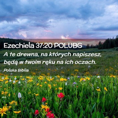 Picture 02 - Ezechiela 37:20 POLUBG - A te drewna, na których napiszesz, będą w - Bible Verse Picture