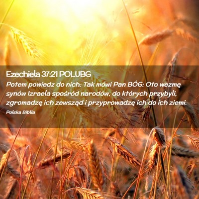 Picture 02 - Ezechiela 37:21 POLUBG - Potem powiedz do nich: Tak mówi Pan BÓG: Oto - Bible Verse Picture
