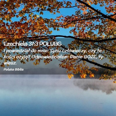 Picture 02 - Ezechiela 37:3 POLUBG - I powiedział do mnie: Synu człowieczy, czy te - Bible Verse Picture