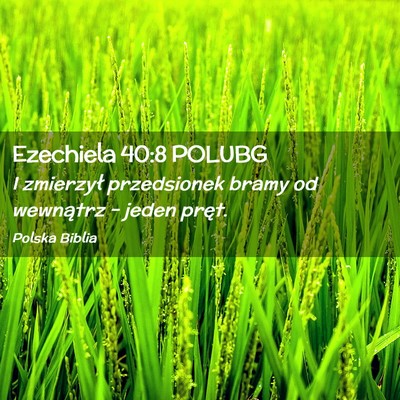 Picture 02 - Ezechiela 40:8 POLUBG - I zmierzył przedsionek bramy od wewnątrz – - Bible Verse Picture