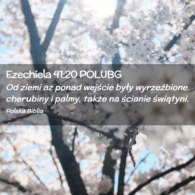 Picture 02 - Ezechiela 41:20 POLUBG - Od ziemi aż ponad wejście były wyrzeźbione - Bible Verse Picture