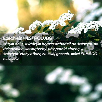 Picture 02 - Ezechiela 44:27 POLUBG - W tym dniu, w którym będzie wchodził do - Bible Verse Picture