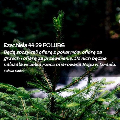 Picture 02 - Ezechiela 44:29 POLUBG - Będą spożywali ofiarę z pokarmów, ofiarę za - Bible Verse Picture