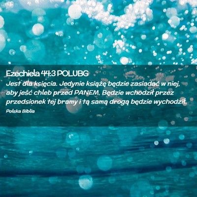 Picture 02 - Ezechiela 44:3 POLUBG - Jest dla księcia. Jedynie książę będzie - Bible Verse Picture