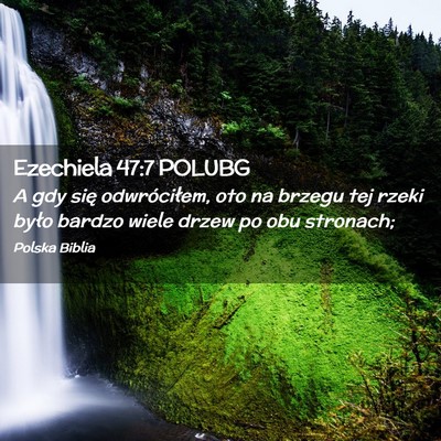 Picture 02 - Ezechiela 47:7 POLUBG - A gdy się odwróciłem, oto na brzegu tej rzeki - Bible Verse Picture