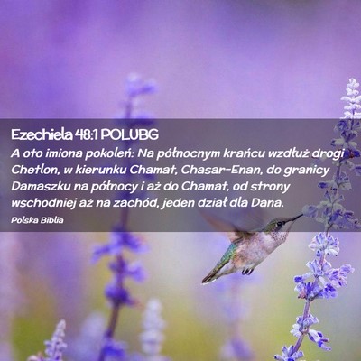 Picture 02 - Ezechiela 48:1 POLUBG - A oto imiona pokoleń: Na północnym krańcu - Bible Verse Picture