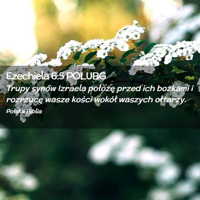 Picture 02 - Ezechiela 6:5 POLUBG - Trupy synów Izraela położę przed ich bożkami - Bible Verse Picture