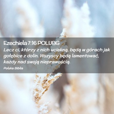Picture 02 - Ezechiela 7:16 POLUBG - Lecz ci, którzy z nich uciekną, będą w - Bible Verse Picture