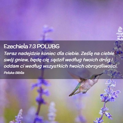 Picture 02 - Ezechiela 7:3 POLUBG - Teraz nadejdzie koniec dla ciebie. Ześlę na - Bible Verse Picture