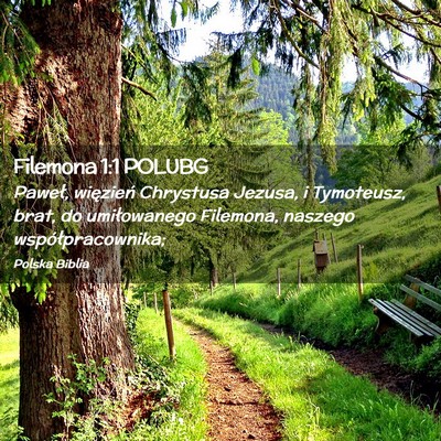 Picture 02 - Filemona 1:1 POLUBG - Paweł, więzień Chrystusa Jezusa, i Tymoteusz, - Bible Verse Picture