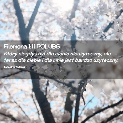 Picture 02 - Filemona 1:11 POLUBG - Który niegdyś był dla ciebie nieużyteczny, - Bible Verse Picture