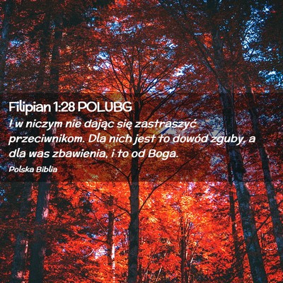 Picture 02 - Filipian 1:28 POLUBG - I w niczym nie dając się zastraszyć - Bible Verse Picture