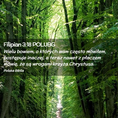 Picture 02 - Filipian 3:18 POLUBG - Wielu bowiem, o których wam często mówiłem, - Bible Verse Picture