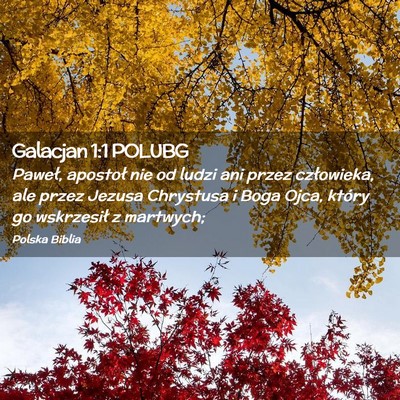 Picture 02 - Galacjan 1:1 POLUBG - Paweł, apostoł nie od ludzi ani przez - Bible Verse Picture