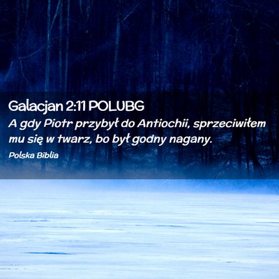 Picture 02 - Galacjan 2:11 POLUBG - A gdy Piotr przybył do Antiochii, sprzeciwiłem - Bible Verse Picture